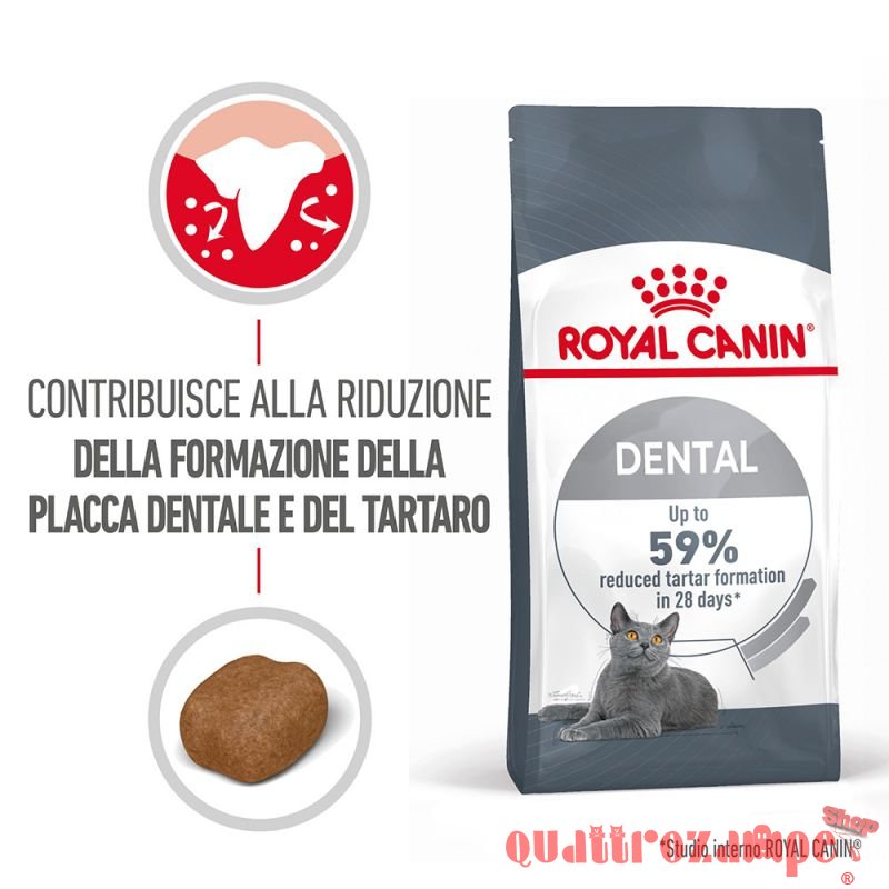 Royal Canin Dental Care per Gatto