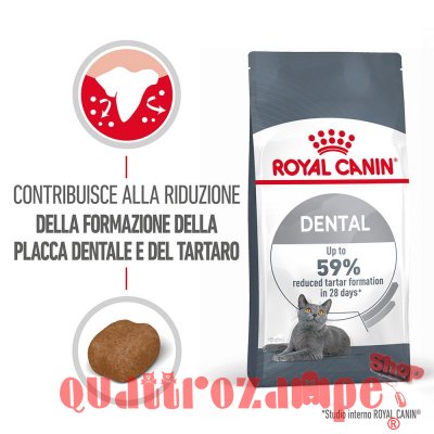 Royal Canin Dental Care per Gatto