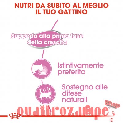 Royal Canin Mother Babycat Mousse 195 gr Cibo Umido Per Gatti