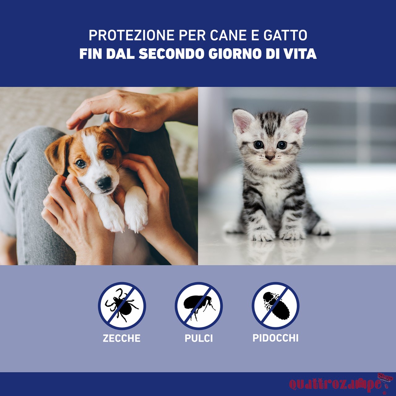 Frontline Spray per Cani e Gatti