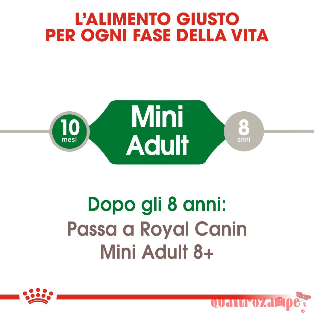 Royal Canin Mini Adult