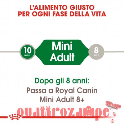 Royal Canin Mini Adult