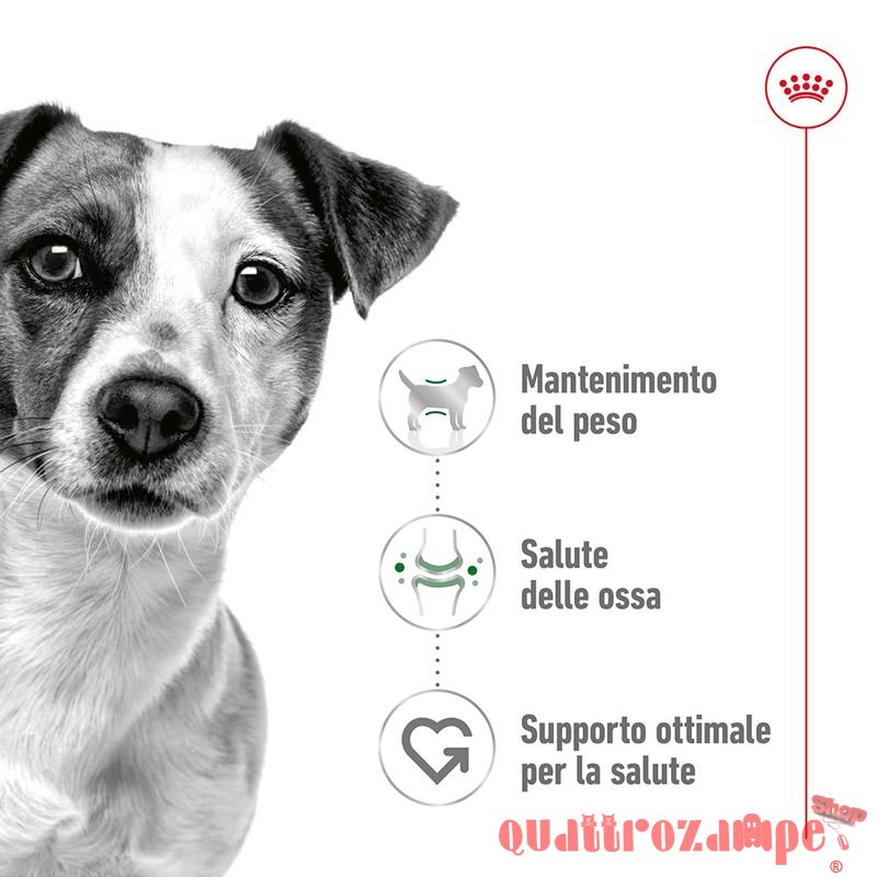 Royal Canin Mini Adult