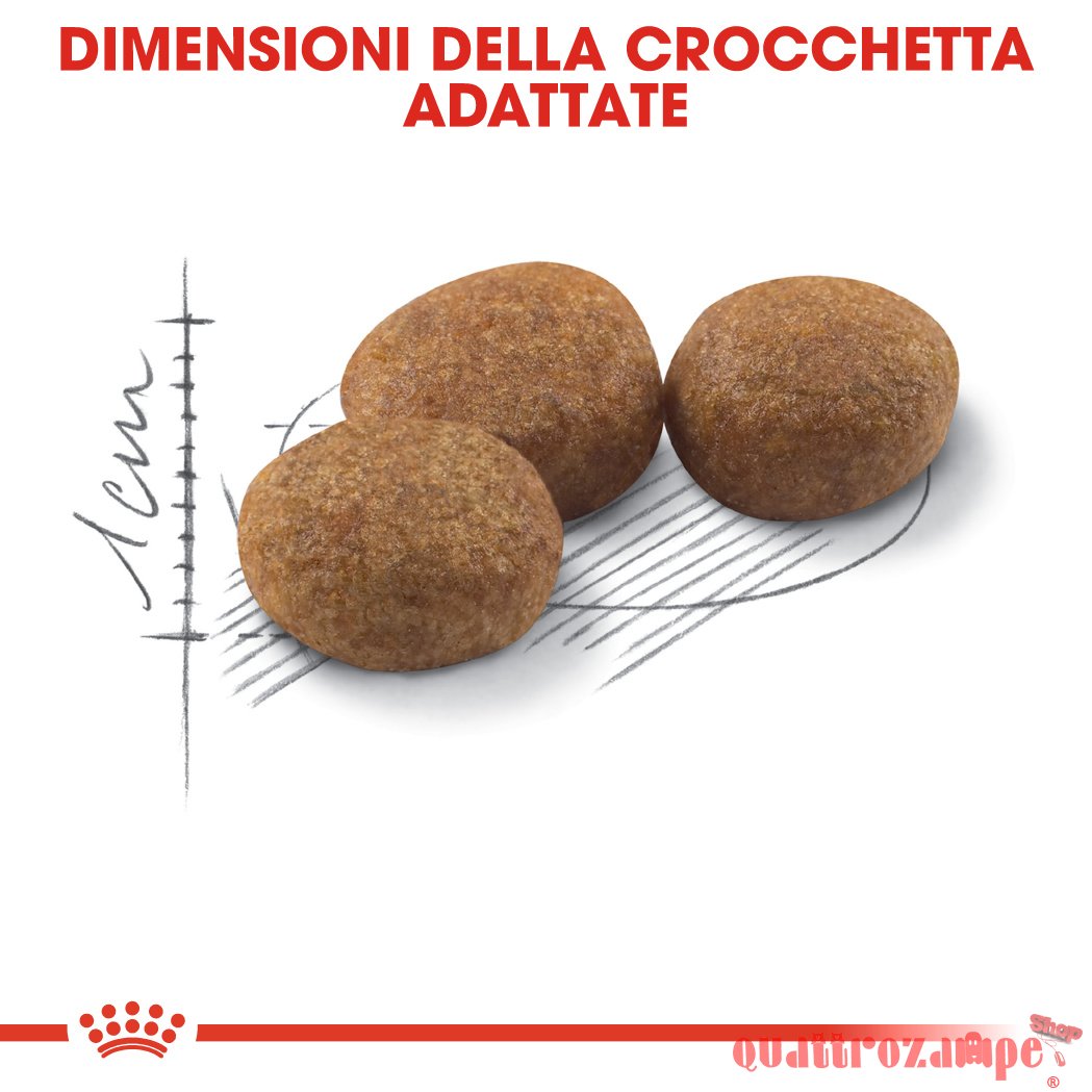 Royal Canin Sterilised Cibo Per Gatti