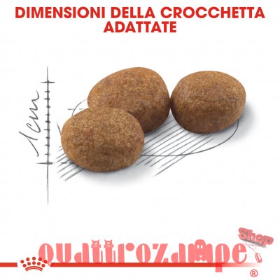Royal Canin Sterilised Cibo Per Gatti