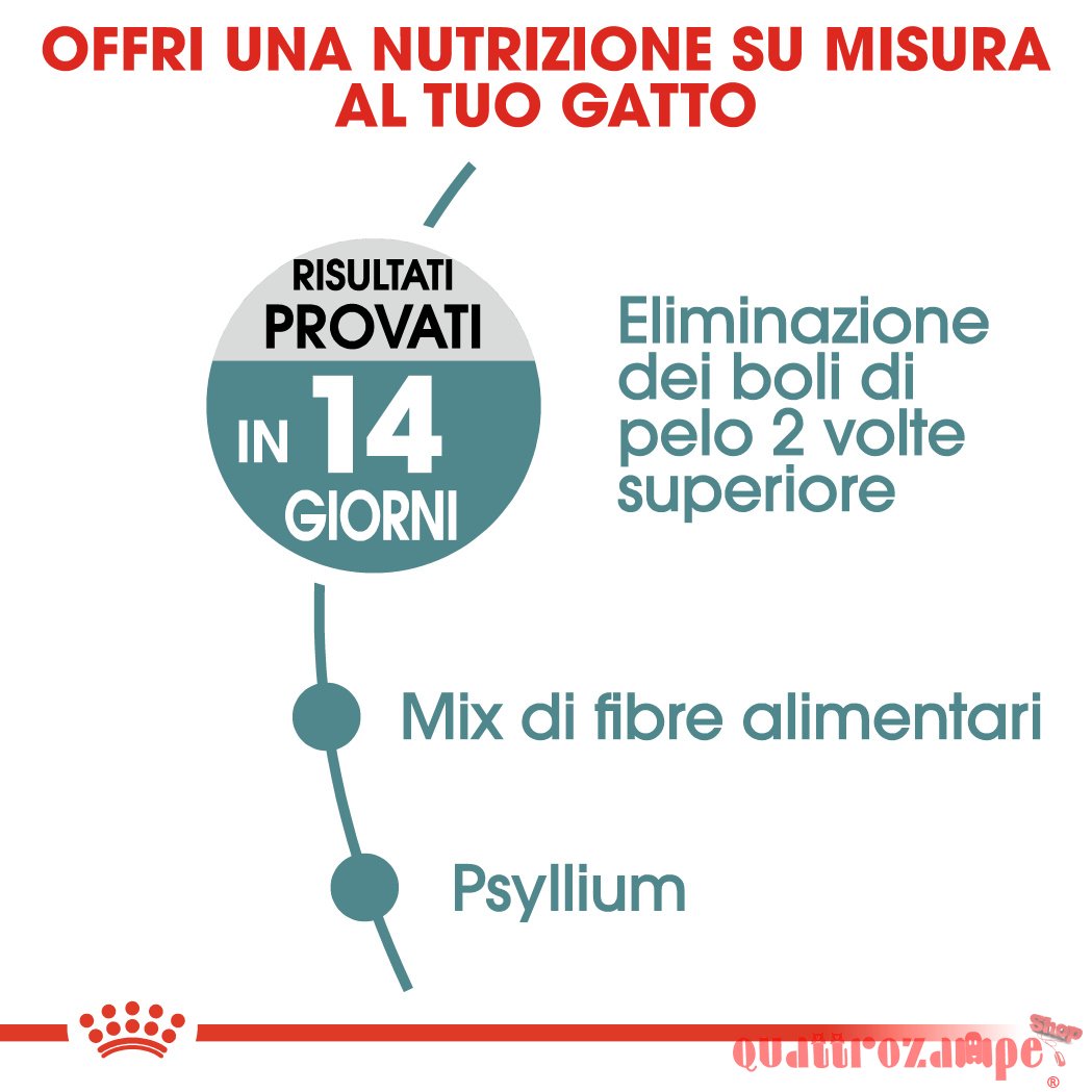 Royal Canin Care Hairball Gatto
