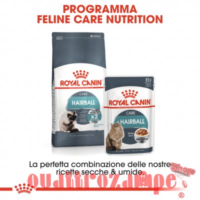Royal Canin Care Hairball Gatto