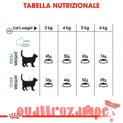 Royal Canin Care Hairball Gatto