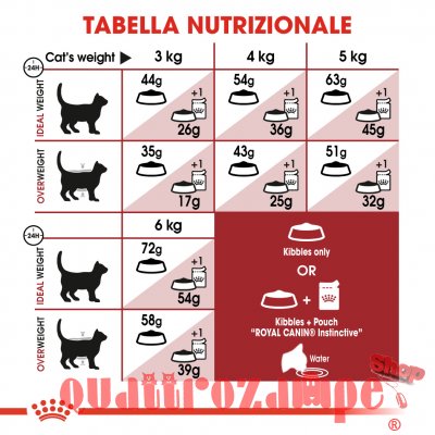 Royal Canin Fit 32 Crocchette Per Gatti