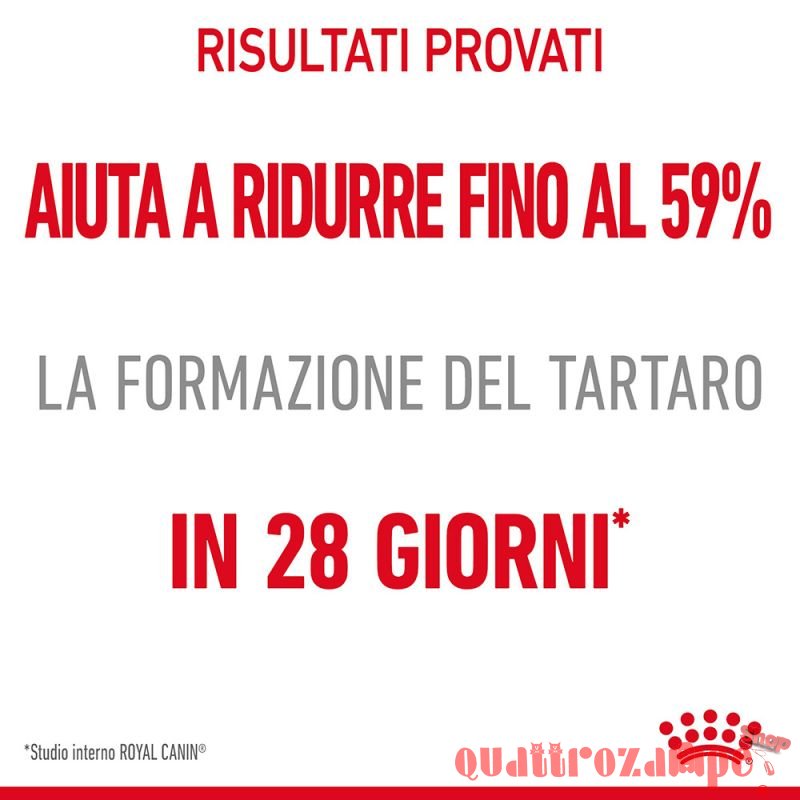 Royal Canin Dental Care per Gatto