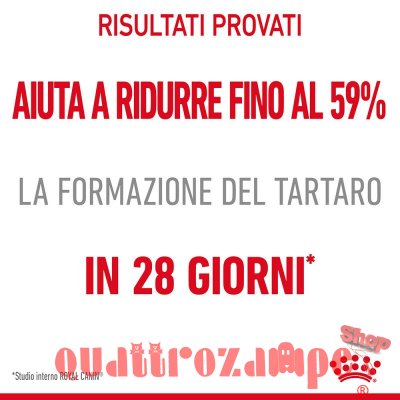Royal Canin Dental Care per Gatto