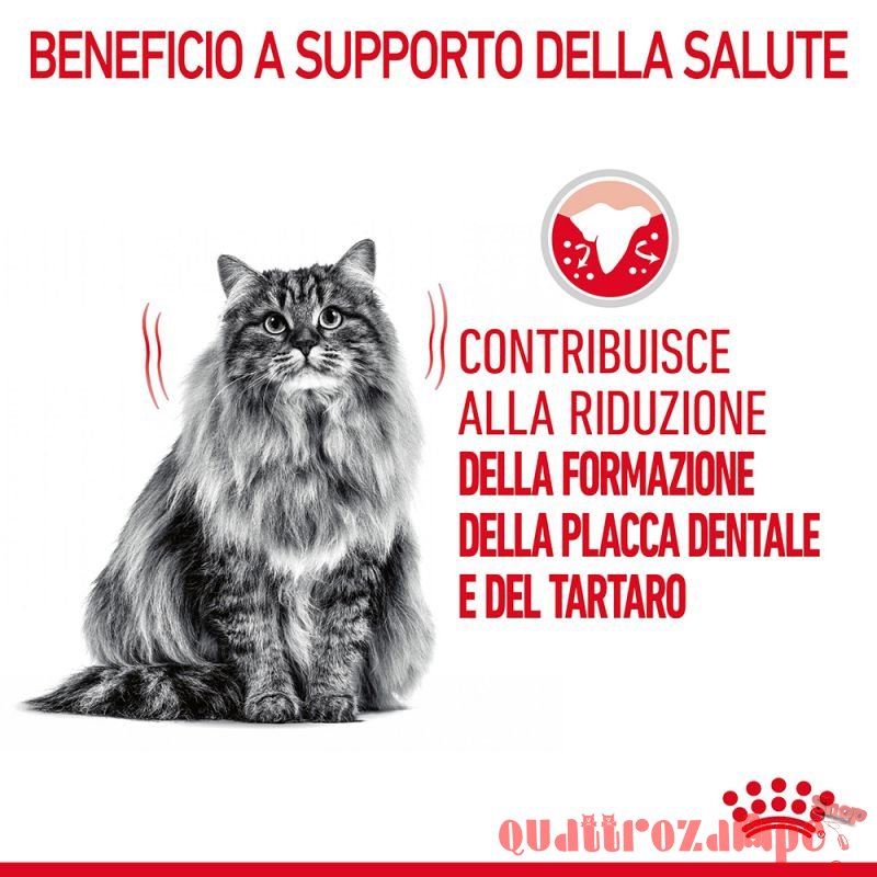 Royal Canin Dental Care per Gatto