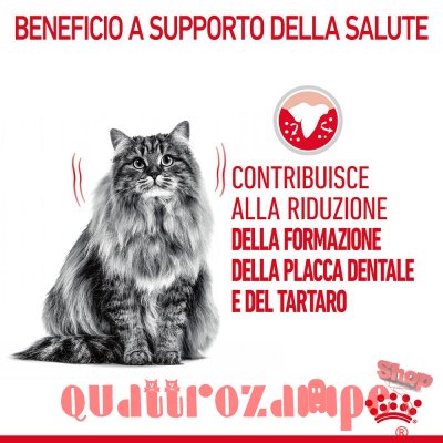 Royal Canin Dental Care per Gatto
