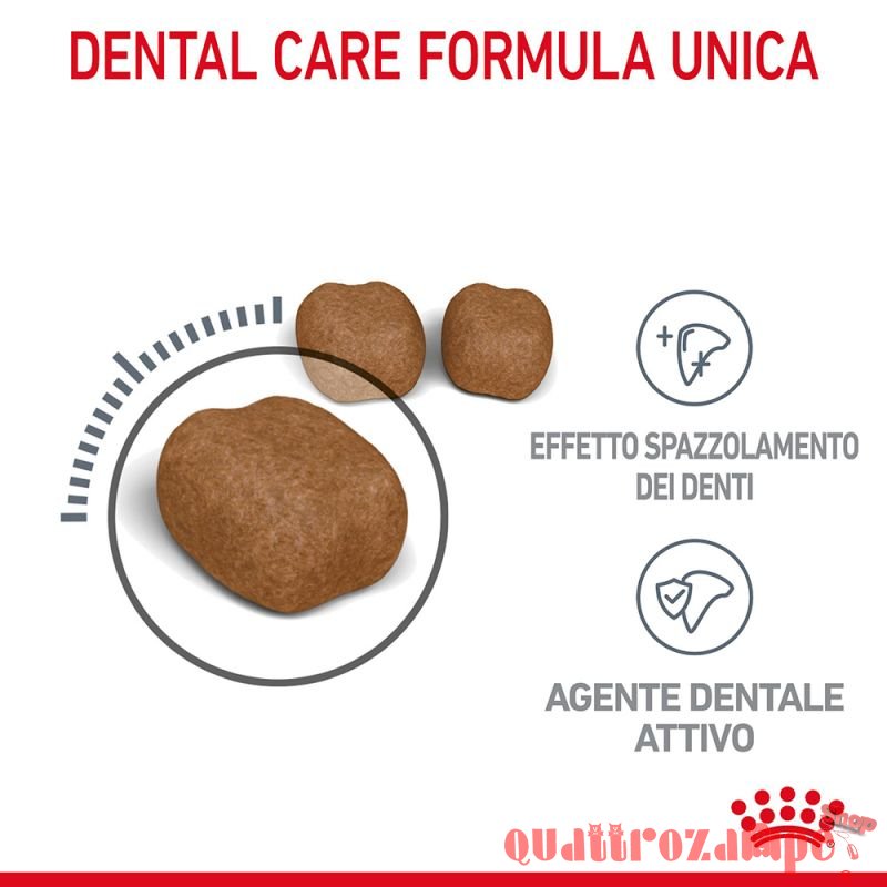 Royal Canin Dental Care per Gatto