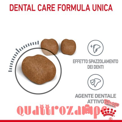 Royal Canin Dental Care per Gatto
