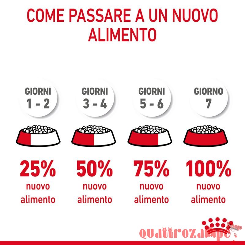 Royal Canin Dental Care per Gatto