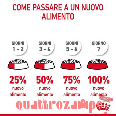 Royal Canin Dental Care per Gatto