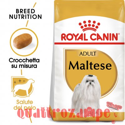 Royal Canin Maltese Adult