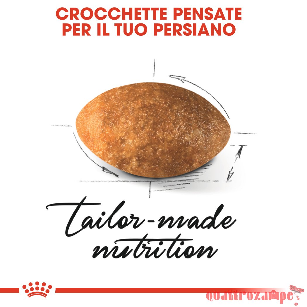 Royal Canin Persian Adult Alimentazione Gatto