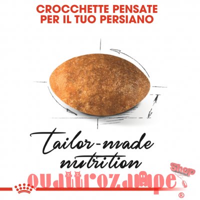 Royal Canin Persian Adult Alimentazione Gatto