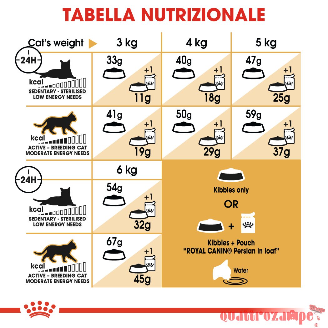 Royal Canin Persian Adult Alimentazione Gatto