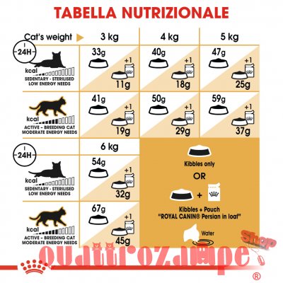 Royal Canin Persian Adult Alimentazione Gatto