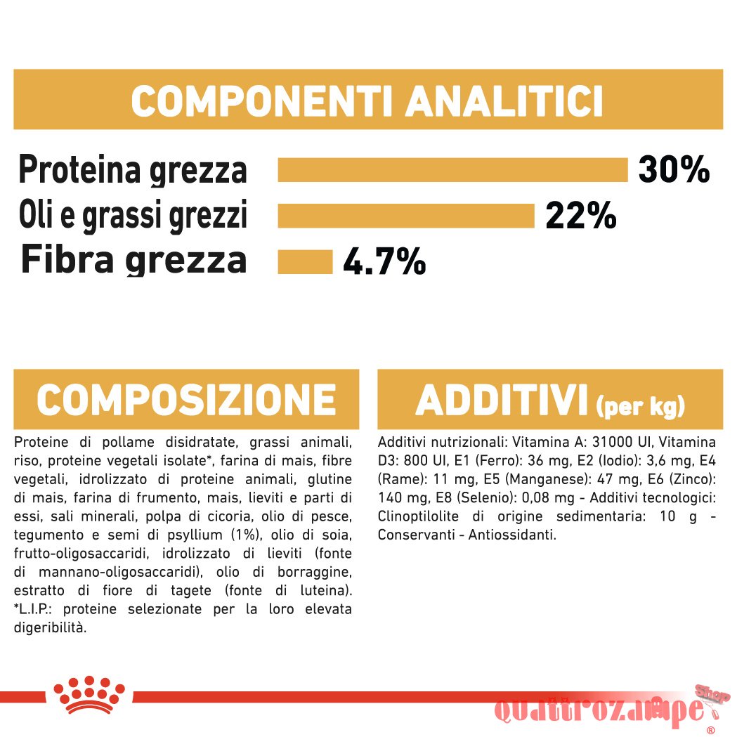 Royal Canin Persian Adult Alimentazione Gatto