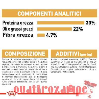Royal Canin Persian Adult Alimentazione Gatto