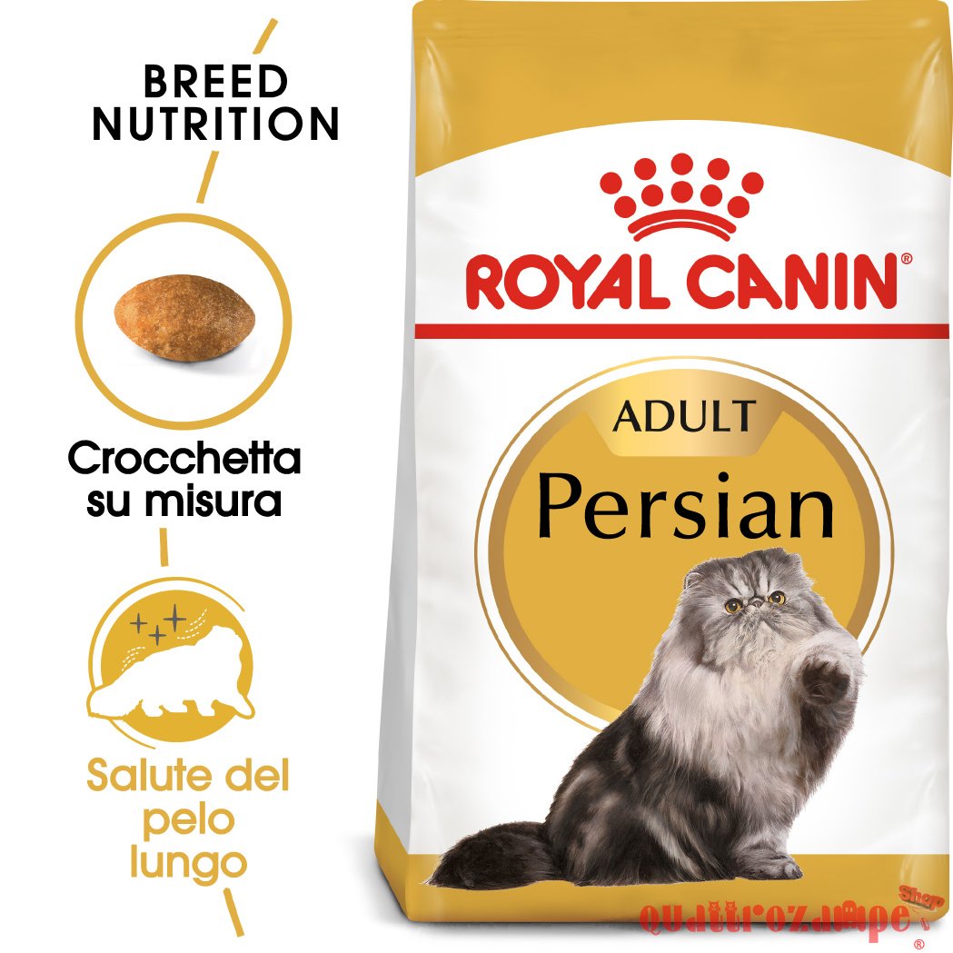 Royal Canin Persian Adult Alimentazione Gatto