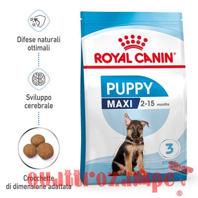 Royal Canin Maxi Puppy Crocchette Per Cuccioli