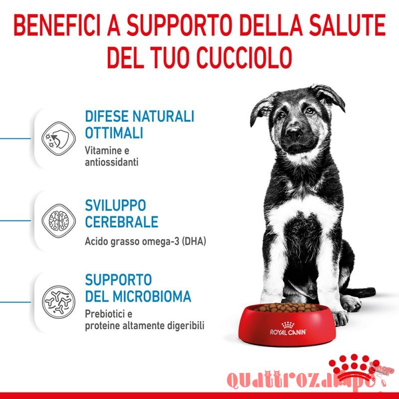 Royal Canin Maxi Puppy Crocchette Per Cuccioli