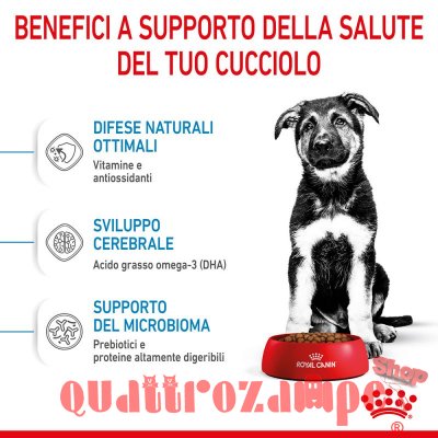 Royal Canin Maxi Puppy Crocchette Per Cuccioli