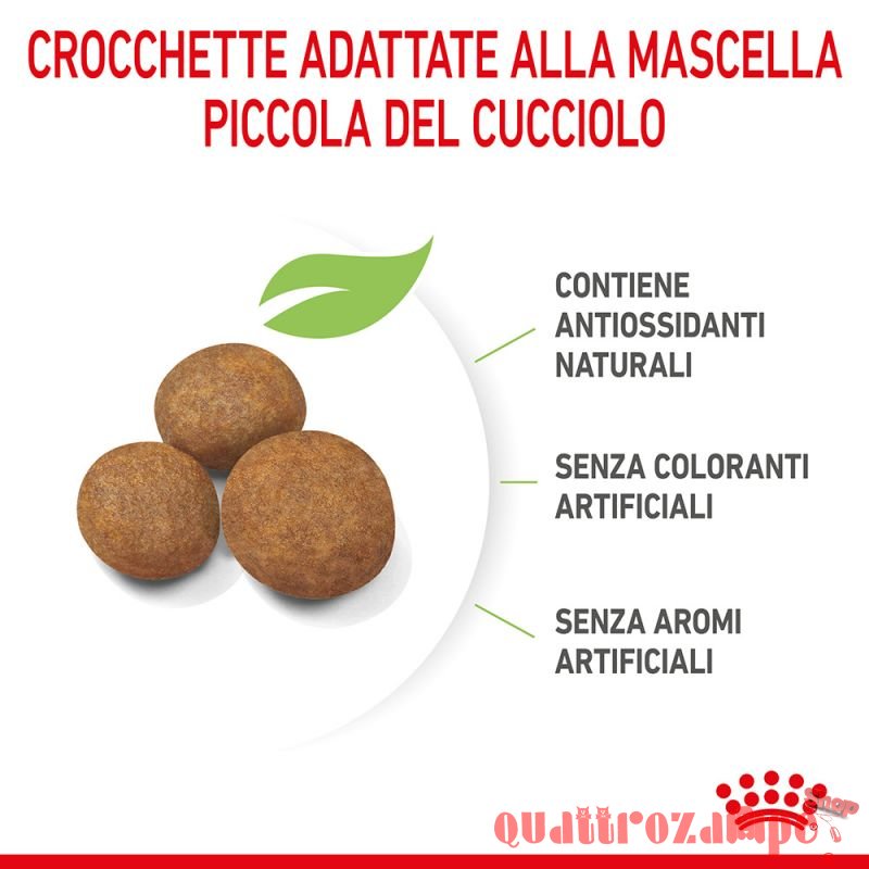 Royal Canin Maxi Puppy Crocchette Per Cuccioli