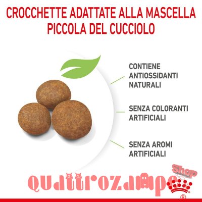 Royal Canin Maxi Puppy Crocchette Per Cuccioli