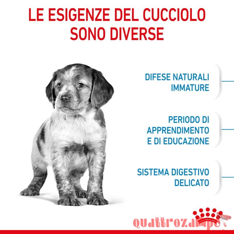 Royal Canin Medium Puppy Alimentazione Cucciolo Cane