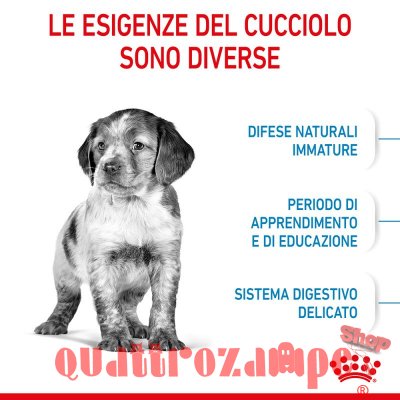 Royal Canin Medium Puppy Alimentazione Cucciolo Cane