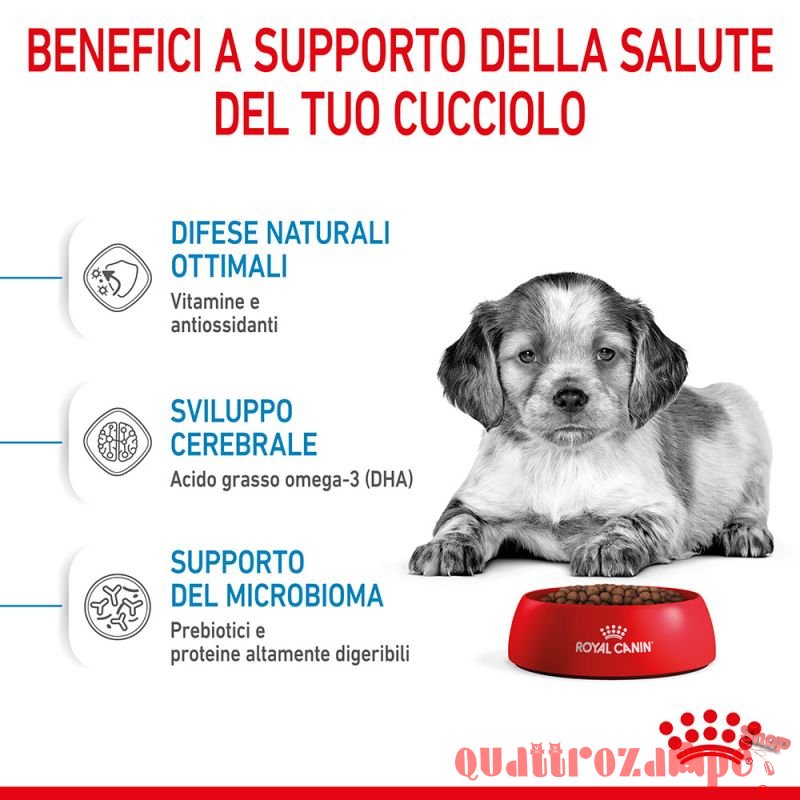 Royal Canin Medium Puppy Alimentazione Cucciolo Cane