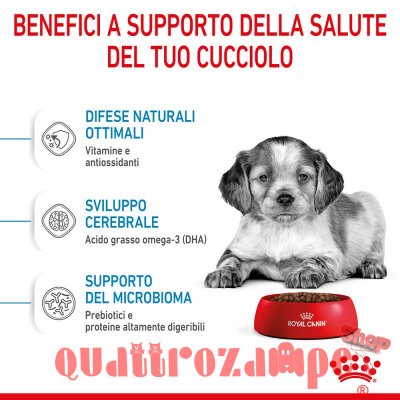 Royal Canin Medium Puppy Alimentazione Cucciolo Cane