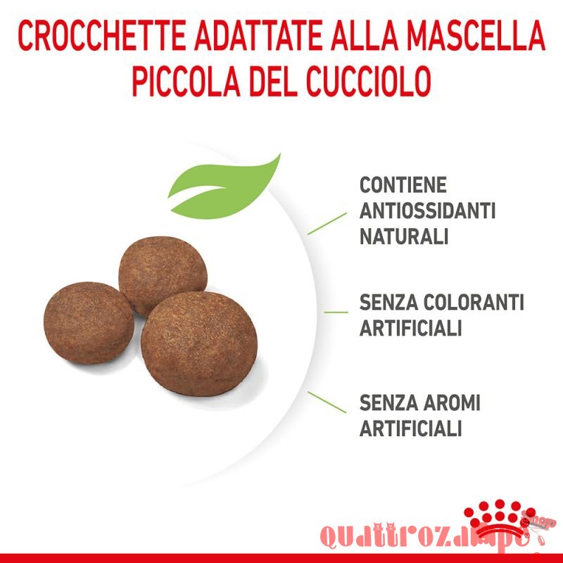 Royal Canin Medium Puppy Alimentazione Cucciolo Cane