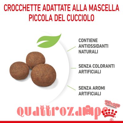 Royal Canin Medium Puppy Alimentazione Cucciolo Cane