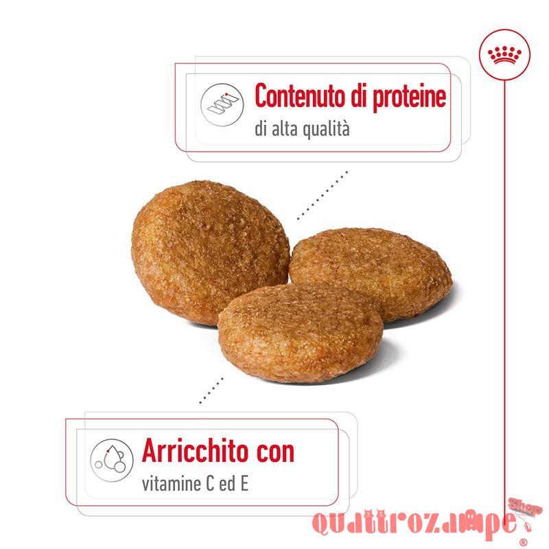 Royal Canin Medium Adult