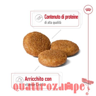 Royal Canin Medium Adult