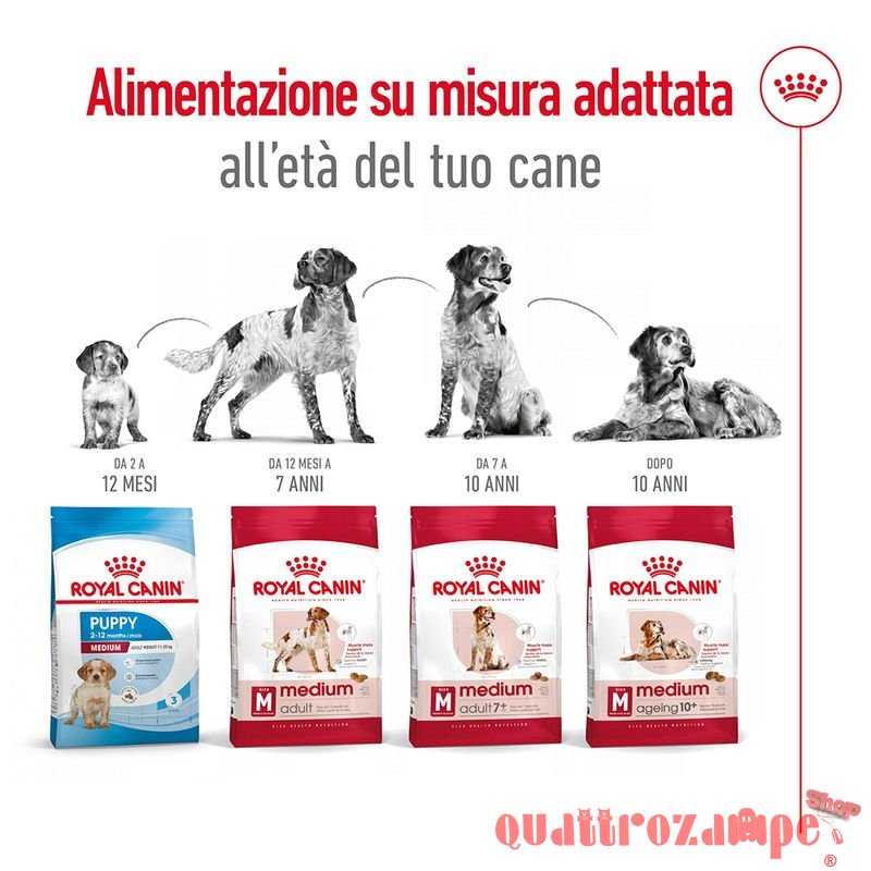 Royal Canin Medium Adult