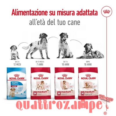 Royal Canin Medium Adult