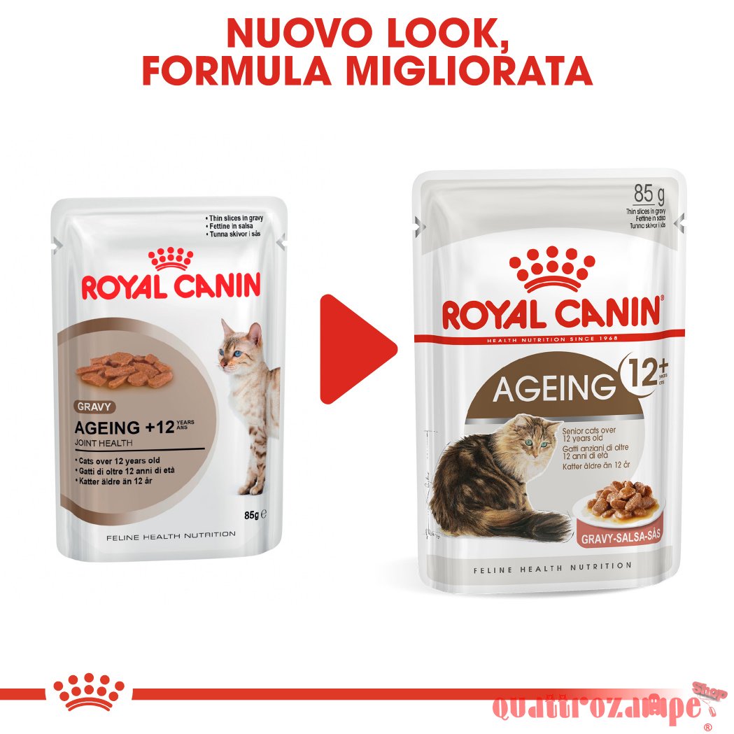 Royal Canin Ageing + 12 Gravy 85 gr In Salsa Per Gatti