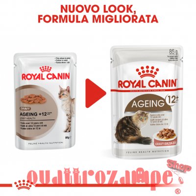 Royal Canin Ageing + 12 Gravy 85 gr In Salsa Per Gatti