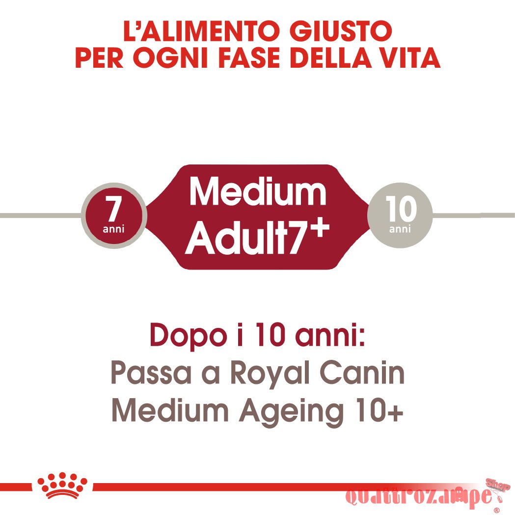 Royal Canin Medium Adult 7 + Cibo Secco Cani