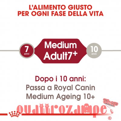 Royal Canin Medium Adult 7 + Cibo Secco Cani