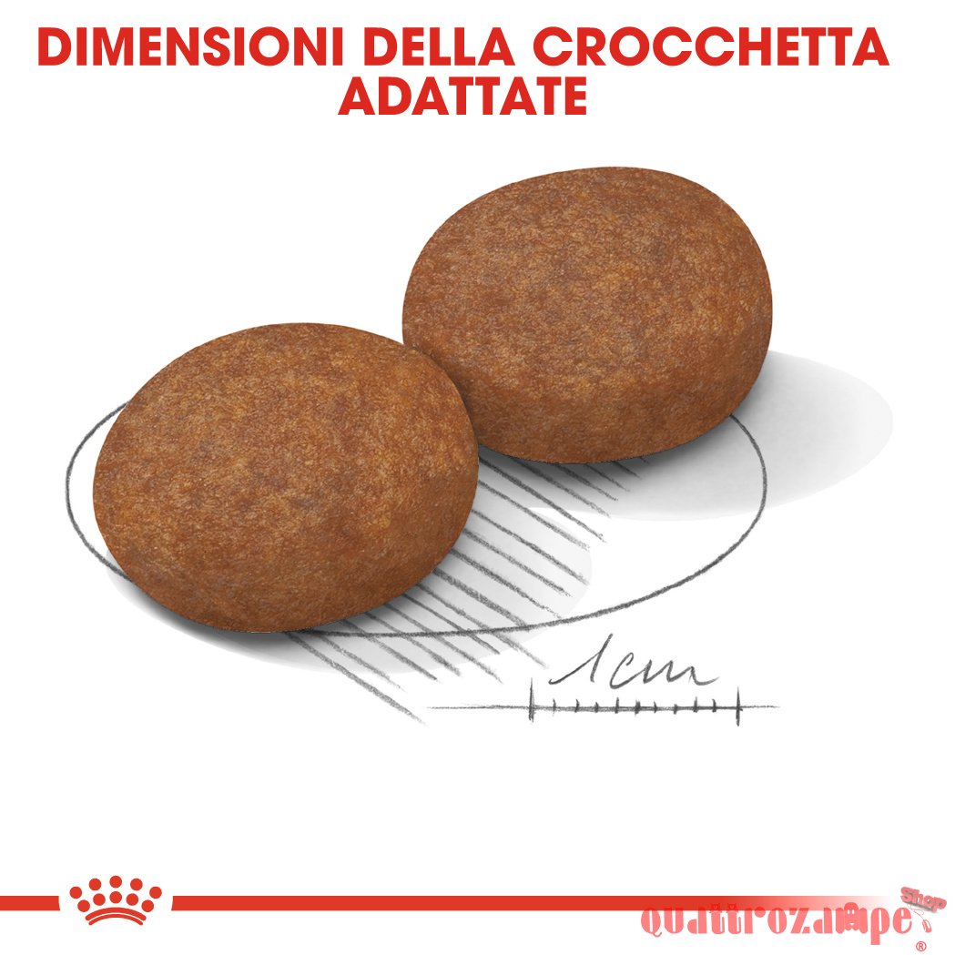Royal Canin Medium Adult 7 + Cibo Secco Cani