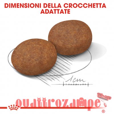 Royal Canin Medium Adult 7 + Cibo Secco Cani